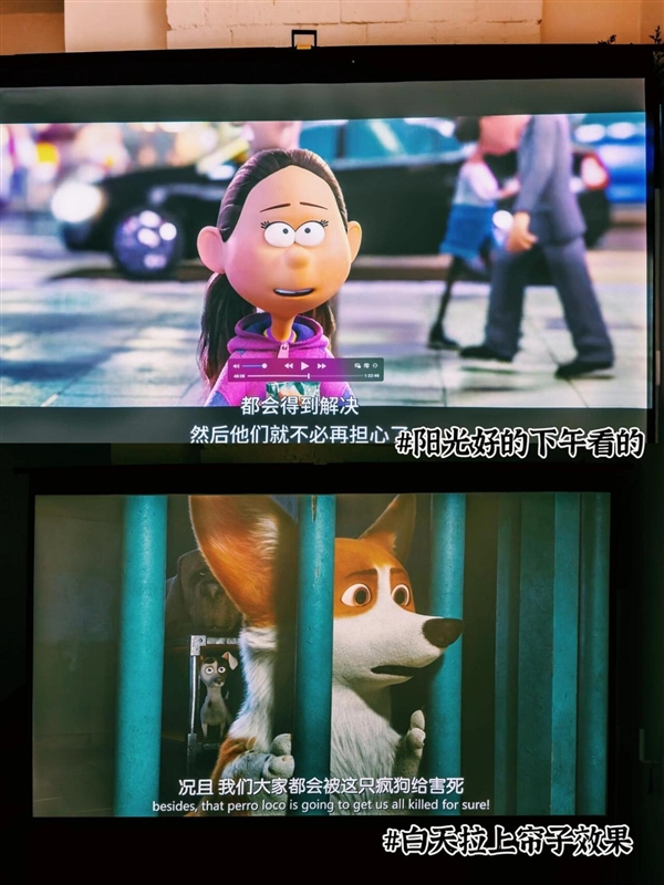 2025年8月家用投影仪推荐：当贝D6XPlus与Smart1 不同场景需求全满足