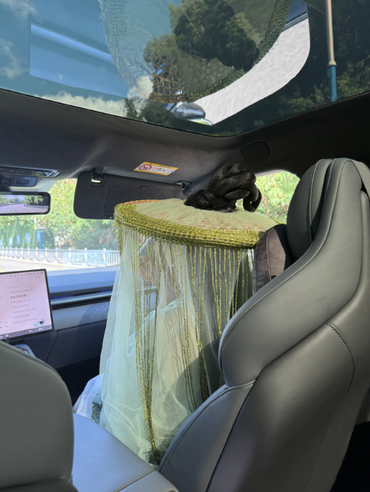 美女博主乘坐全新小鹏P7 12cm超高发型完全不顶头