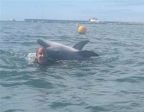 英国海湾一只网红海豚试图淹死游泳女子：四次跳到背上去