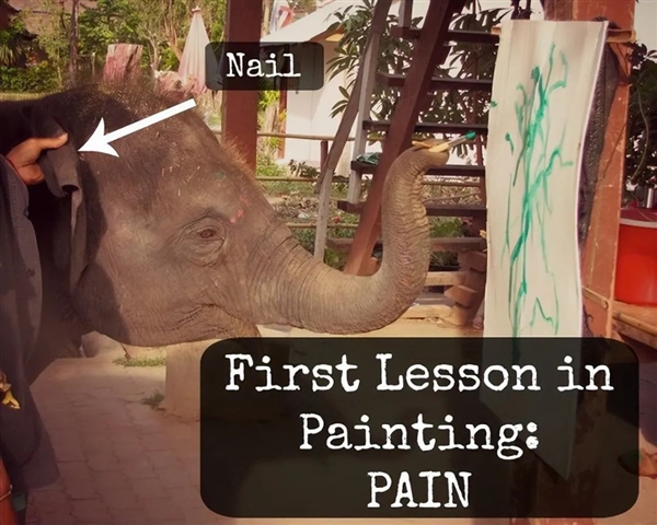 S7fed76d7-5eb9-402a-a077-ad24369d784a