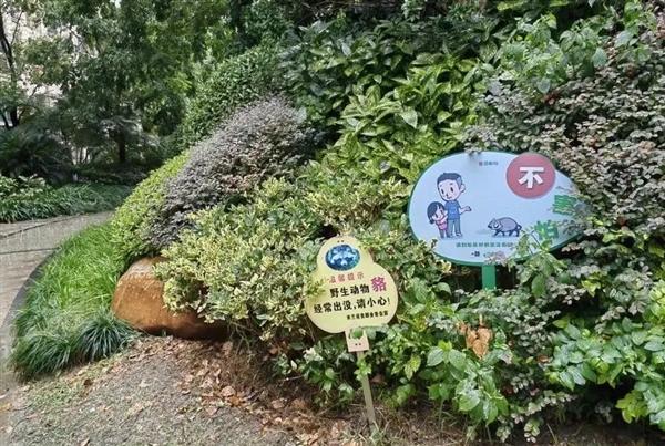 S9c0fda04-bc1b-4612-a58c-9e4da2f6f7b7