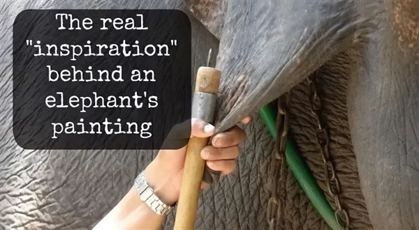 Sb07cc5bf-cf00-4a76-9dc9-03a0ca835e50