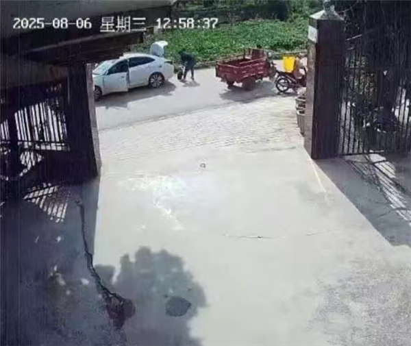 s_71c53d6018d7490f901a248c42a03187