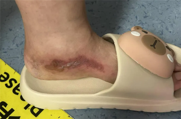 s_a3fde28543a14bf0b3d61af401b3618e