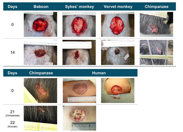 s_b336e0544ec3420395da8ada02937860